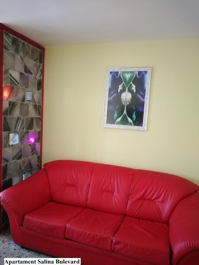 Apartament Salina Bulevard Алба-Юлия Экстерьер фото